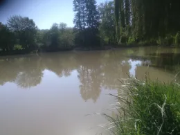 Eisweiher (Groß-Bieberau)-3