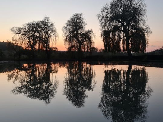 Eisweiher (Groß-Bieberau)-1