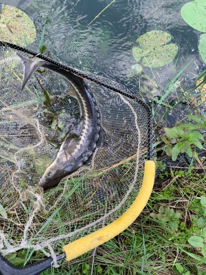 Großes Loch (Bad Schönborn)