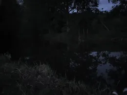 Schwalm (Bad Zwesten)