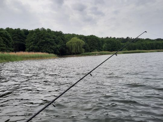 Grimnitzsee (Joachimsthal) angeln