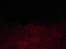 Schleienloch (Geratal Kies)