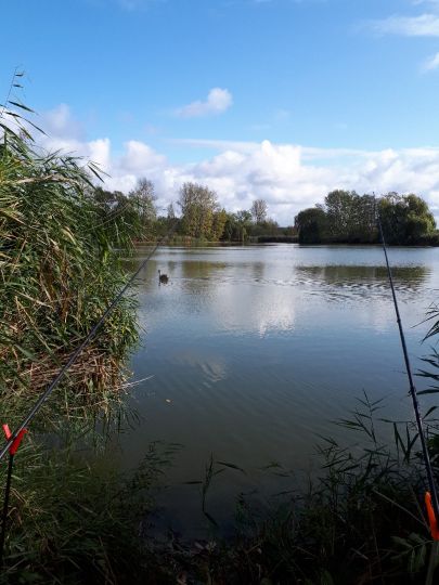 Kleinspeicher Cunnersdorf/ Wachtelteich angeln