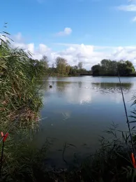 Kleinspeicher Cunnersdorf/ Wachtelteich-2