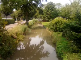 Sandstedter Sielfleth-1