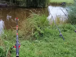 Sandstedter Sielfleth-4