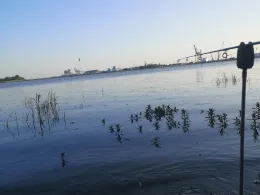 Sandstedter Sielfleth-2