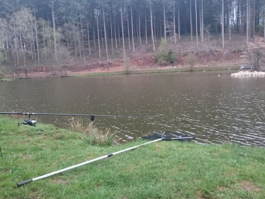 Schillinger Weiher (Spießbratensee) angeln