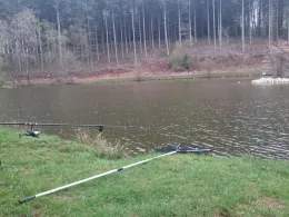 Schillinger Weiher (Spießbratensee)-1