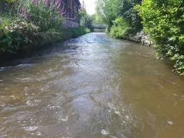 Goldach (Hallbergmoos)-1