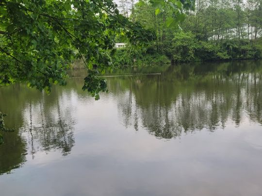 Rückhaltebecken Berner Au-3