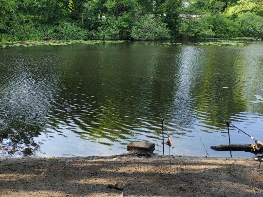 Rückhaltebecken Berner Au-4