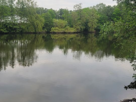 Rückhaltebecken Berner Au-2