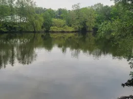 Rückhaltebecken Berner Au-2