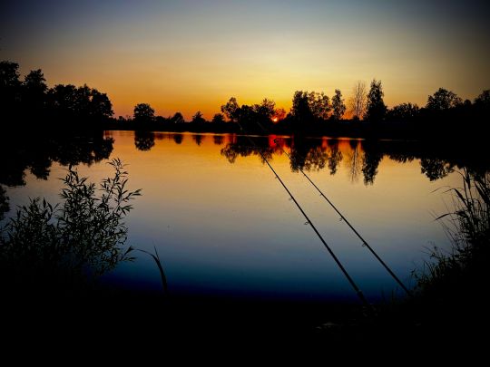 Scherauer Weiher (Diepersdorf)-1