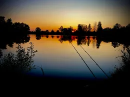 Scherauer Weiher (Diepersdorf)-1