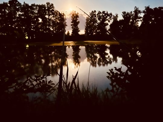 Scherauer Weiher (Diepersdorf)-3