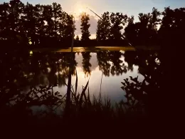 Scherauer Weiher (Diepersdorf)-3