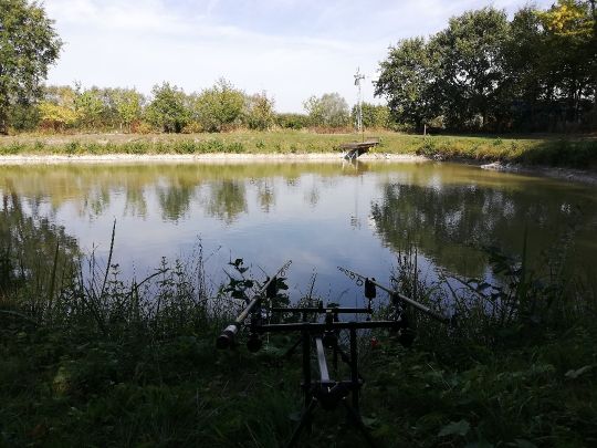 Ascheberger Teiche ALLE ANGELN
