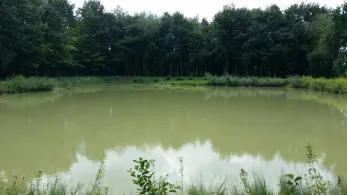 Ascheberger Teiche-3