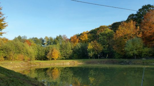 Ascheberger Teiche-2