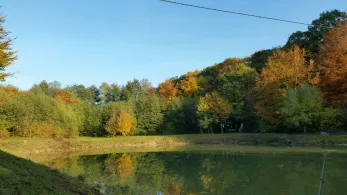 Ascheberger Teiche-2