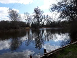 Ziegeleiteich Bindfelde