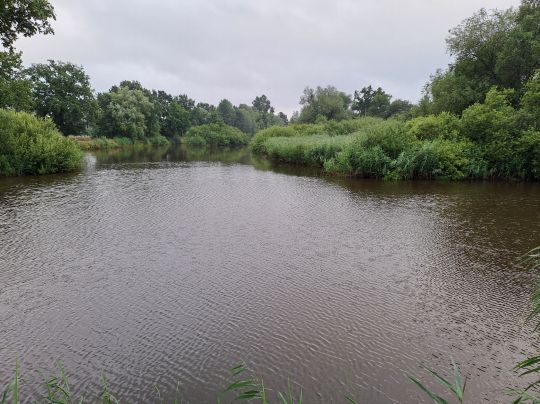 Ziegeleiteich Bindfelde-1