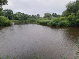 Ziegeleiteich Bindfelde-1