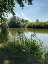 Ziegeleiteich Bindfelde-3
