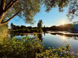 Kiesteich im Wiesengrund (Büchen)-2