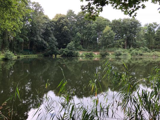 Kiesteich im Wiesengrund (Büchen)-4