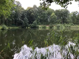 Kiesteich im Wiesengrund (Büchen)-4