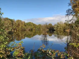 Kiesteich im Wiesengrund (Büchen)-1