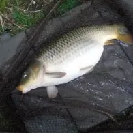 Koffiepoel (Brunssum)-3