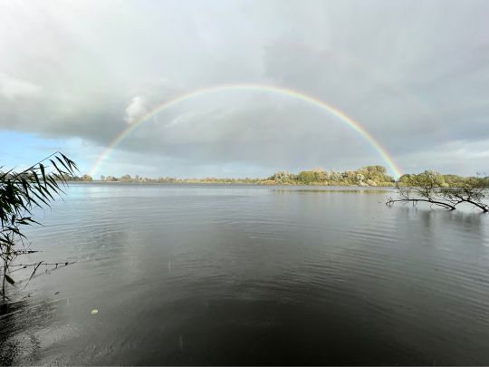 Großer Bornhorster See-2