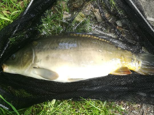 Kleiner Rummel (Trebsen)