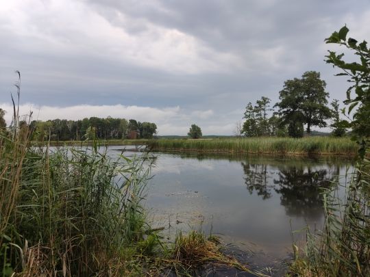 Tongrube Bärenkamp (Eggesin)-2