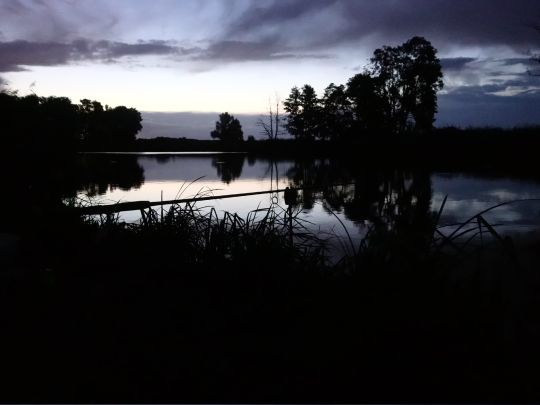 Tongrube Bärenkamp (Eggesin)-3