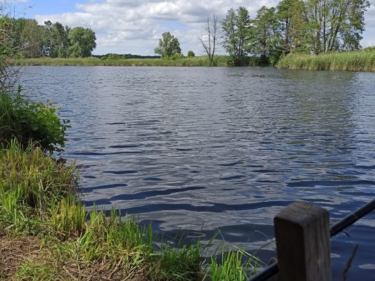 Tongrube Bärenkamp (Eggesin)-4