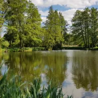 Tongrube Bärenkamp (Eggesin)-1