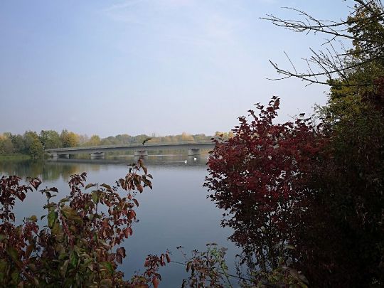 Isar (Landau an der Isar) | ALLE ANGELN