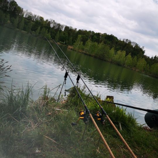 Isar (Landau an der Isar) angeln
