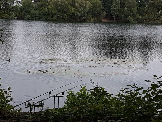 Sandruper See