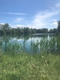 Bertholdweiher (Aindling)-0