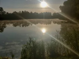 Bertholdweiher (Aindling)-1