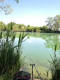 Bertholdweiher (Aindling)-2