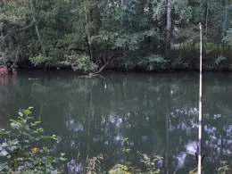 Spree (Neuhausen/Spree)-2