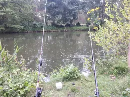 Spree (Neuhausen/Spree)