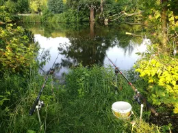 Spree (Neuhausen/Spree)-3